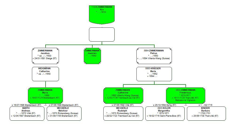 Lien de parente 1ers zimmermann